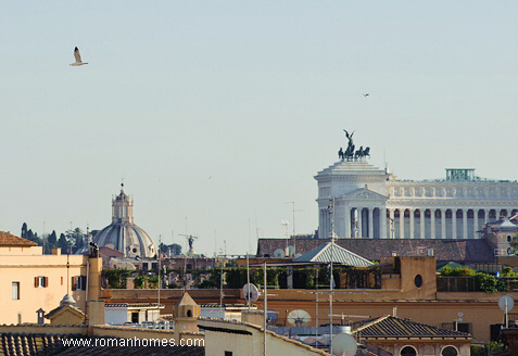 seagulls flying on the domes of Rome